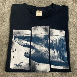 Hollister T-Shirt